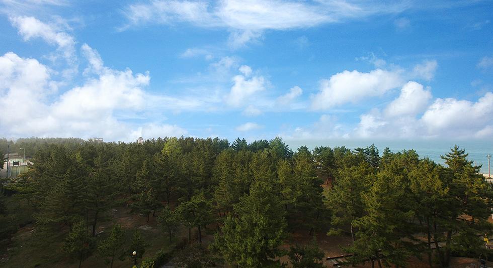 Jumunjin Resort Kangrung Kültér fotó